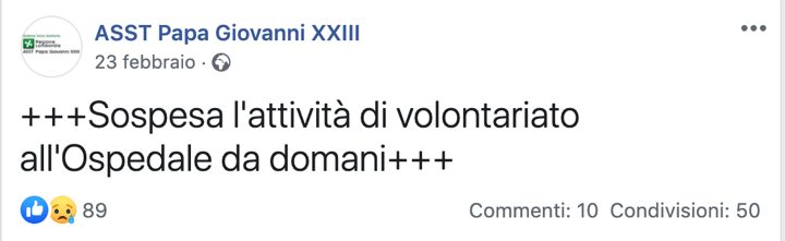 Immagine che contiene uccello, albero Descrizione generata automaticamente