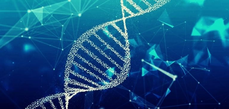 Cos è Il Dna In Parole Semplici